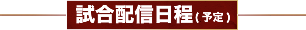 試合配信日程（予定）