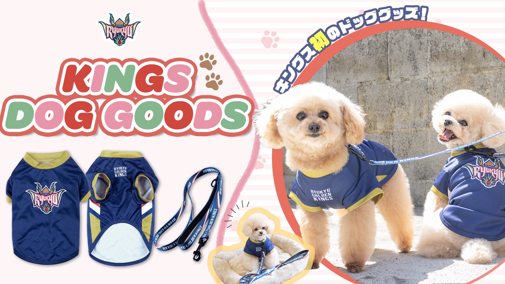 GOODS | 琉球ゴールデンキングス